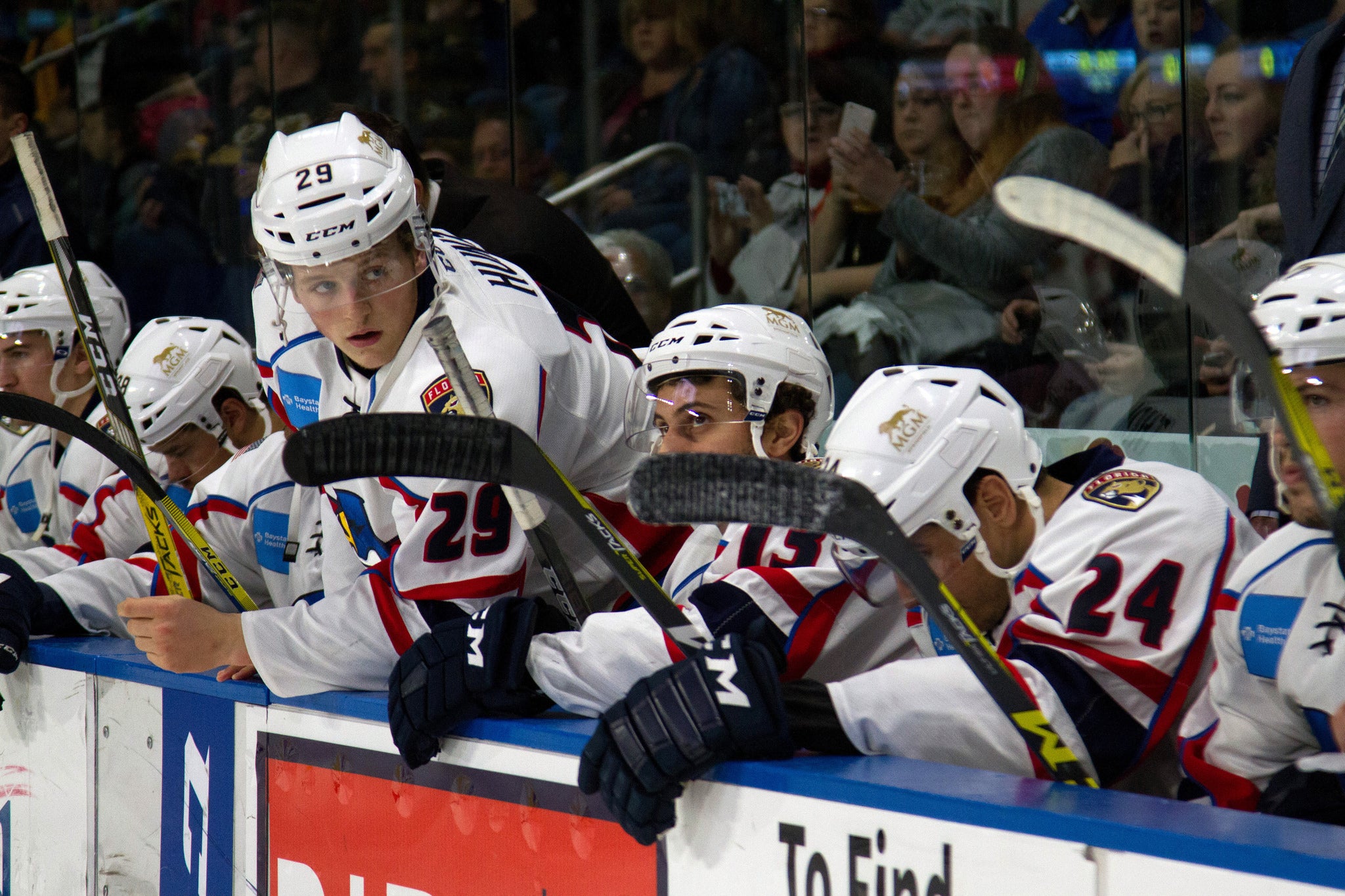 The best of times: receiving so - Springfield Thunderbirds