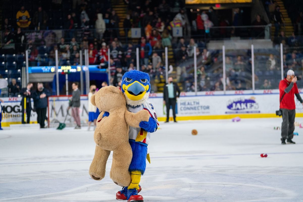 WATCH: Springfield Thunderbirds unveil new mascot, Boomer